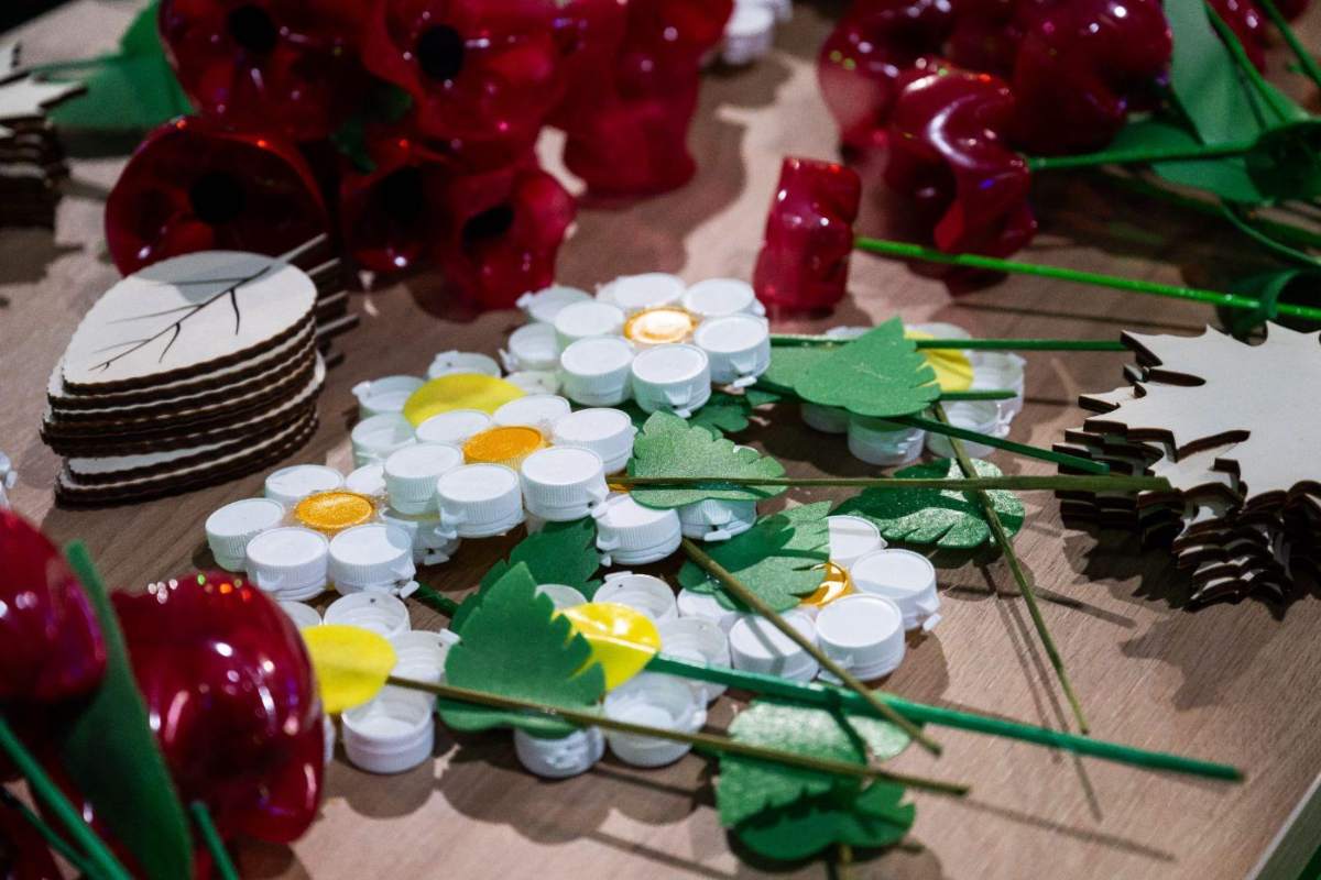 Bottle-cap flowers planted in the garden